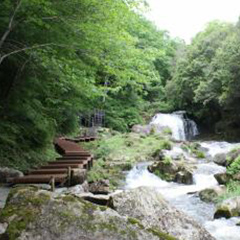 鳴滝森林公園
